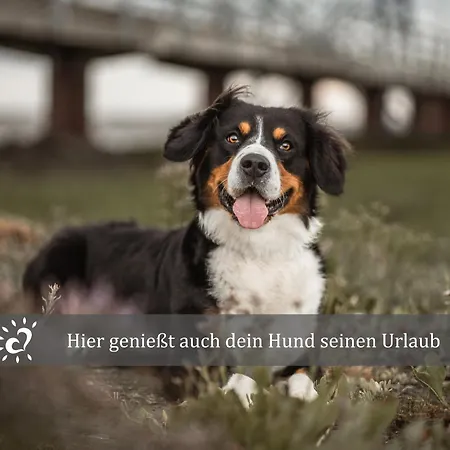 De Twargbutt Nordseeluft Vom Balkon Aus Schnuppern Apartmán